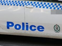 Two dead after crash involving alleged stolen vehicle in Sydney’s south west