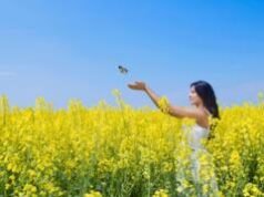 नीला क्यों दिखता है आसमान, क्या हमेशा ये रंग बरक़रार रहेगा