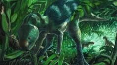 ਵਿਗਿਆਨੀਆ ਂ ਨ ੇ ਖੋਜਿਆ ਮੁਰਗ ੀ ਜਿੰਨ ਾ ਛੋਟ ਾ ਅਤ ੇ ਅਜੀਬੋ-ਗਰੀਬ ਡਾਇਨਾਸੌਰ