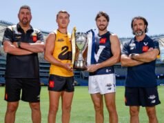 Mickey Mouse had no place as AFL State of Origin was revived.