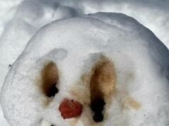 Danika Mason’s whispering words at the Winter Olympics make an ABC personnel insult her by making them appear on a TV show.