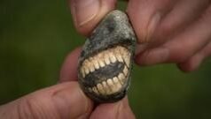 புனித தீவில் கிடைத்த கூழாங்கல்லில் பதிந்திருந்த ‘சிரிக்கும்’ உருவம்