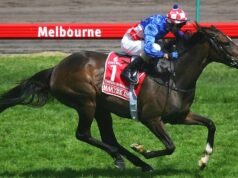 Legendary Australian racehorse Makybe Diva dies aged 26