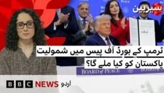 ٹرمپ کے بورڈ آف پیس میں شامل ہونے سے پاکستان کو کیا ملے گا؟
