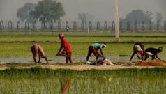 انڈین کسان پاکستان کی سرحد پر لگی باڑ سے پریشان: میری، میرے ٹریکٹر یہاں تک کہ روٹی سبزی کی بھی چیکنگ ہوتی ہے‘