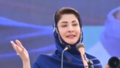 مریم نواز کی ’سلپ آف ٹنگ‘ اور صحافی پر ’فیک ویڈیو‘ پھیلانے کا الزام: ’اتنی سی بات پر نشانہ بنانا جلد بازی تھی‘