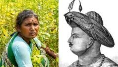 टिपू सुलतान सारख्या मुद्द्यांमुळे महाराष्ट्रातील ‘हे’ 5 महत्त्वाचे मुद्दे मागे पडत आहेत का?