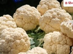 सस्ती हुई गोभी को सालभर के लिए स्टोर करने का जान लें तरीका, गर्मी में भी खा सकेंगे सब्जी-पराठा