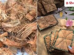 जटा नारियल का छिलका फेंकने की कभी न करें गलती! रेशों से बनाए बर्तन धोने वाला स्क्रबर, आसान है ये देसी हैक