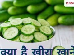 खीरे को गलत टाइम पर खाया तो होने लगेगी ब्लोटिंग और सिर दर्द? जानें खाने का बेस्ट टाइम