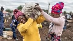 ਸੋਨ ਾ ਮਿਲਣ ਦ ੀ ਆਸ ', ਚ ਹਜ਼ਾਰਾ ਂ ਲੋਕ ਇਸ ਮੁਲਕ ', ਚ ਜ਼ਮੀਨ ਪੁੱਟਣ ', ਚ ਲੱਗ ੇ