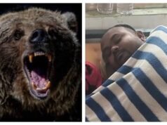 Axe-wielding Odisha woman fights off bear that attacked her husband, saves him