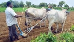 ગુજરાત વિધાનસભાએ સૌરાષ્ટ્ર ઘરખેડ વટહુકમમાં સુધારો કરતા કોની ખેતીની જમીન ખાલસા થઈ શકે છે?