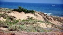 రేర్ ఎర్త్ కారిడార్: ఏపీలో ఏఏ అరుదైన మూలకాలున్నాయి? ఇవి ఎక్కడ దొరుకుతాయి?