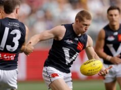 Matt Rowell, the wounded star, didn’t provide Origin the finger.