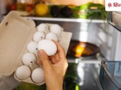 अंडा ताजा है या खराब? न्यूट्रिशनिस्ट लीमा महाजन से जानें सही टेस्ट और स्टोरेज टिप्स