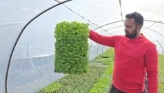 ‘ਸੋਸ਼ਲ ਮੀਡੀਆ ਦੀ ਵਰਤੋਂ ਕਿਸਾਨਾਂ ਲਈ ਬਹੁਤ ਜ਼ਰੂਰੀ’, ਸੰਗਰੂਰ ਦਾ ਅਮਨਿੰਦਰ ਸਿੰਘ ਇਓਂ ਬਣਿਆ ਕਬੱਡੀ ਖਿਡਾਰੀ ਤੋਂ ‘ਮਾਡਰਨ ਕਿਸਾਨ’