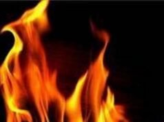 രാജാംപാറ വനാതിര്ത്തിയില് പടര്ന്നു പിടിച്ച കാട്ടു തീ നിയന്ത്രണ വിധേയമായില്ല; മൃഗങ്ങള് കാടിറങ്ങി