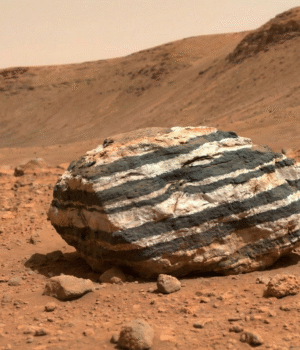 zebra_rock_on_mars_nasa_1771903723814_1771903746157.png