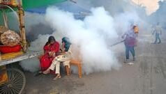 ‘ঘরে মশা বাইরে মশা, যেখানেই যাই মশা’- যে তিন কারণে বাংলাদেশে মশার অসহনীয় উপদ্রব