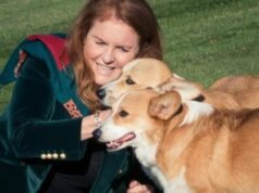 Sarah Ferguson denies claims she planned to take part in reality TV series involving cloning Queen Elizabeth’s corgis