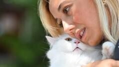 ఎటు చూసినా పిల్లులే.. 2 లక్షల 50 వేల పిల్లులున్న నగరం