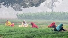 ਪੰਜਾਬ ਸਿਰ ਕਰੀਬ 4 ਲੱਖ ਕਰੋੜ ਦਾ ਕਰਜ਼ਾ, ‘ਆਪ’ ਸਰਕਾਰ ਅਜੇ ਵੀ ਮੁਫ਼ਤ ਸਹੂਲਤਾਂ ‘ਤੇ ਅੜੀ, ਕਿੰਨਾ ਵਾਜਬ ਹੈ ਇਹ ਬੋਝ