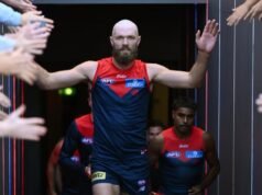 New-look Demons couldn’t slow down if they tried: Gawn