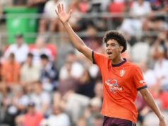 ‘They just surprise you’: how teen can add to Socceroos