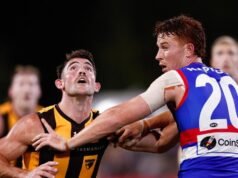 Hawks, Dons sweat on MRO findings ahead of AFL openers