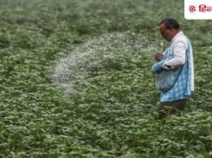 युद्ध से खेती पर भी संकट: भारत ने चीन से यूरिया के लिए मांगी मदद