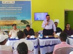 ଧାମରାରେ ଜଙ୍ଗଲ ପରିବେଶ ଓ ଜଳବାୟୁ ବିଭାଗ ତରଫରୁ ଡଲଫିନ ଏବଂ କଇଁଛ ସୁରକ୍ଷା ସଚେତନତା ଶିବିର