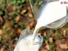 क्या दूध पीने से बढ़ता है कोलेस्ट्रॉल? जानें हार्ट हेल्थ सही रखने के लिए कौन सा मिल्क पीना है सही