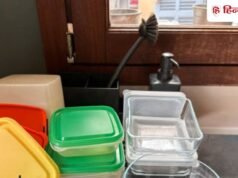 लंचबॉक्स में लगी रबर हो गई काली तो चुटकियों में हो जाएगी साफ, बस करना होगा ये काम