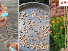 नकली क्यों खरीदनी? जब सूखी टहनी से घर पर ही बना सकते हैं शुद्ध तुलसी की माला, देखें तरीका!