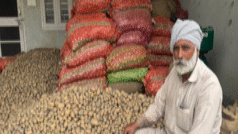 ਆਲੂ ਖੇਤਾਂ ‘ਚ ਹੀ ਵਾਹਣ ਨੂੰ ਕਿਉਂ ਮਜਬੂਰ ਹੋ ਰਹੇ ਪੰਜਾਬ ਦੇ ਕਿਸਾਨ, ਬੇਮੌਸਮੀ ਮੀਂਹ ਸਣੇ ਹੋਰ ਕਿਹੜੇ ਕਾਰਨ?