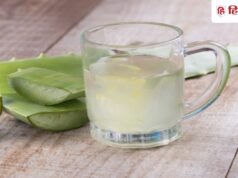 एलोवेरा इस्तेमाल करने से पहले निकाल लें ‘जहरीला’ लेटेक्स, 1 मिनट में सीखें सही तरीका!