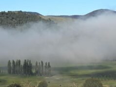 Inquest into Zezi Freeman’s last events is being conducted.