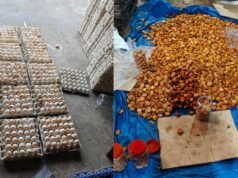 Rotten eggs used to make cakes in Hyderabad, manufacturers arrested