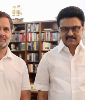 congress-leadership-in-tamil-nadu-weighs-tvk-tie-up--reaches-out-to-rahul-gandhi-060147869-16x9.jpg