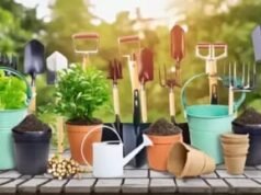 पौधों के हेल्दी ग्रोथ के लिए Amazon से करें गार्डेनिंग एसेसरीज की शॉपिंग