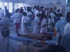44 Tamil Nadu students hospitalised after lizard found in meal, BJP slams govt