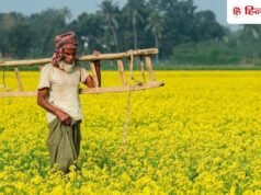 PM Kisan सम्मान निधि का नहीं आया अकाउंट में पैसा? जानें वजह, ऐसे चेक करें अपना नाम