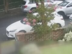 Boris Ristic: Man charged over alleged failed carjacking in Kew seeks bail