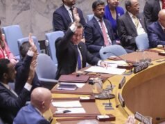 Russia and China vetoe a UN resolution involving Hormuz delivery.