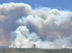 Firefighter dies, 120 homes destroyed in US wildfires