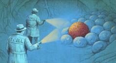 ਕੈਂਸਰ ਨੂੰ ਖ਼ਤਮ ਕਰਨ ਵਿੱਚ ਕਿੰਨੀ ਅਸਰਦਾਰ ਸਾਬਿਤ ਹੋ ਰਹੀ ਹੈ ਇਮਿਊਨੋਥੈਰੇਪੀ