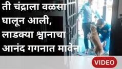 आर्टेमिस 2 ची अंतराळवीर घरी परतली, लाडक्या श्वानाचा आनंद गगनात मावेना