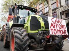 Irish minister quits over govt response to fuel demos