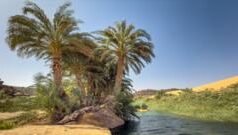 क्या रेगिस्तान को हरा भरा बनाया जा सकता है?